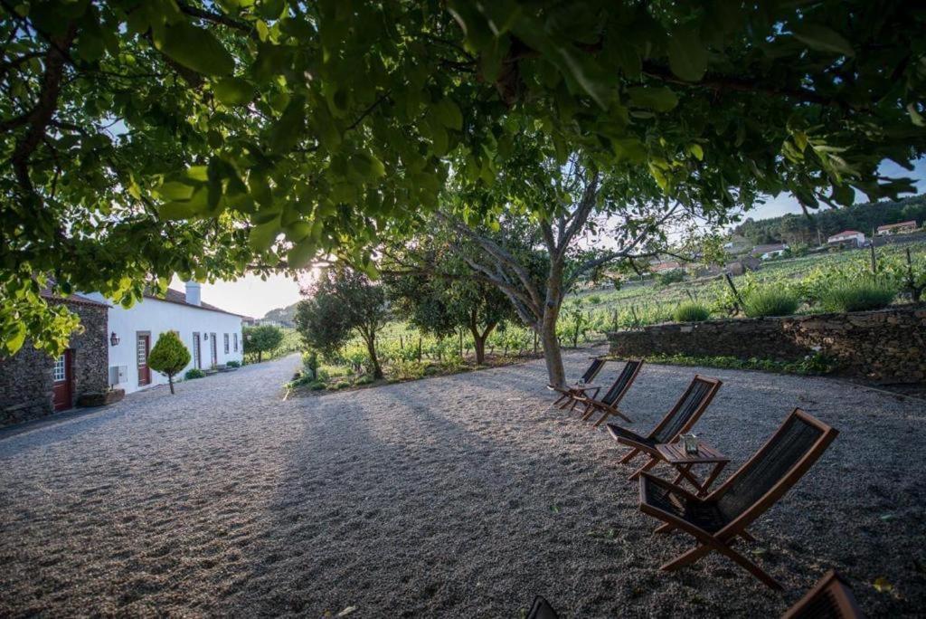 Morgadio Da Calcada Douro Wine&Tourism Guest House Pinhão Exterior photo