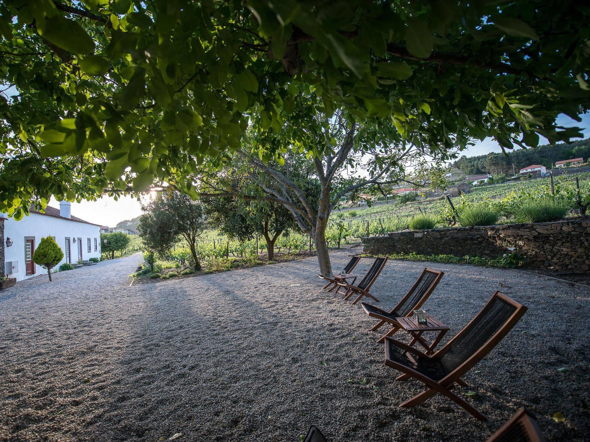 Morgadio Da Calcada Douro Wine&Tourism Guest House Pinhão Exterior photo